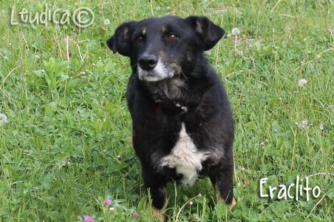 Eraclito